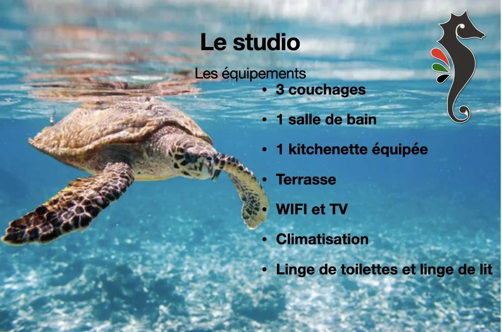 Apartment Studio Hippocampe P&V Sainte-Luce