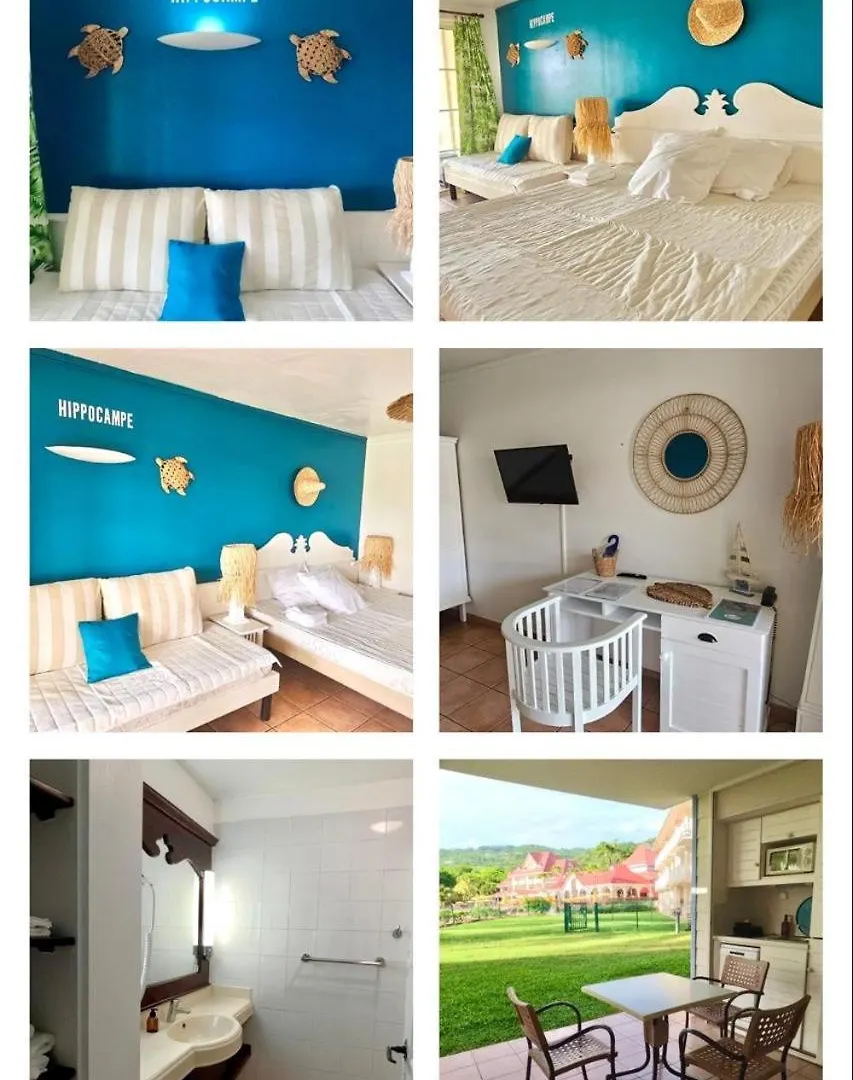Studio Hippocampe P&V Sainte-Luce