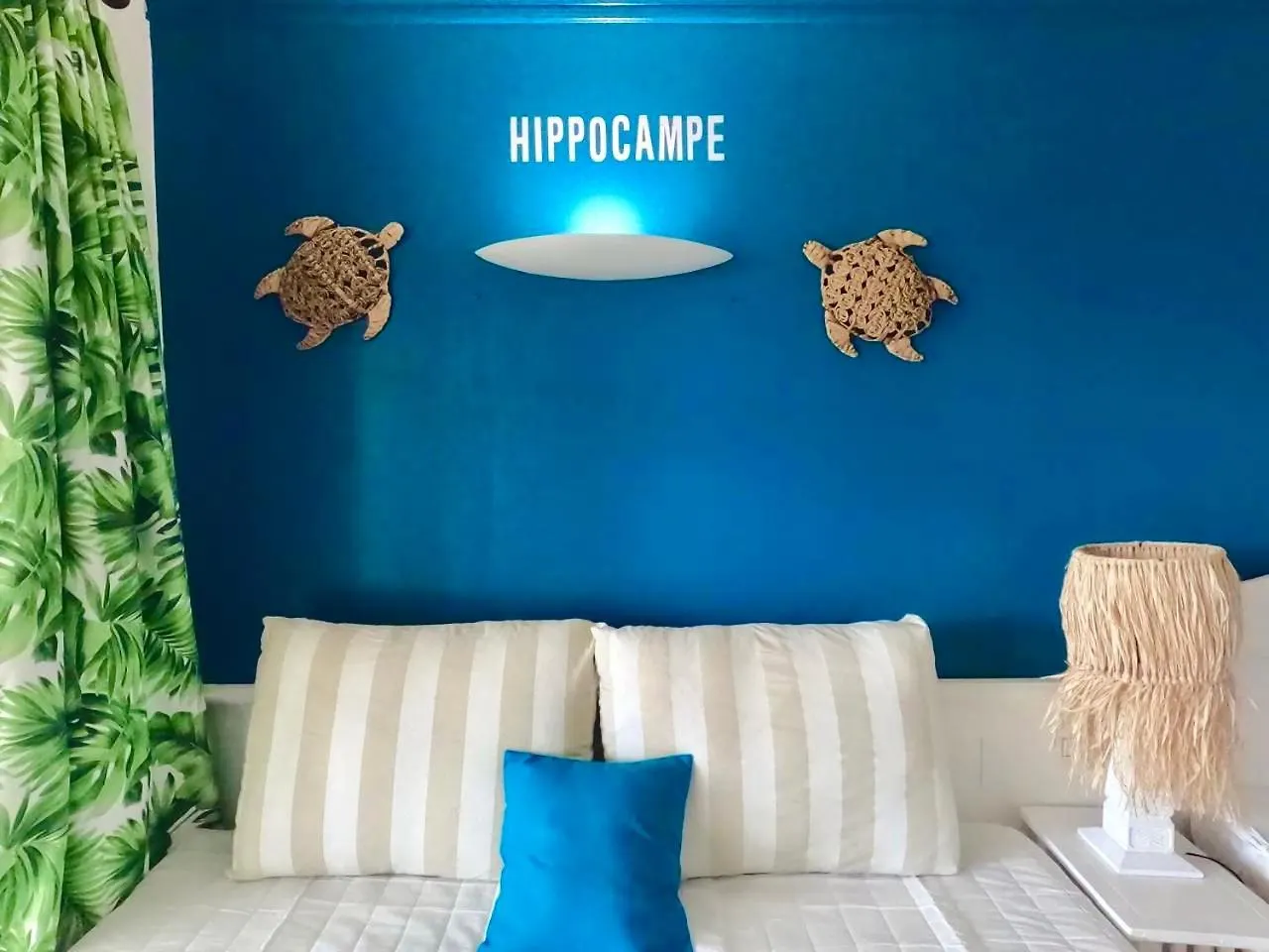 Studio Hippocampe P&V Sainte-Luce Martinique