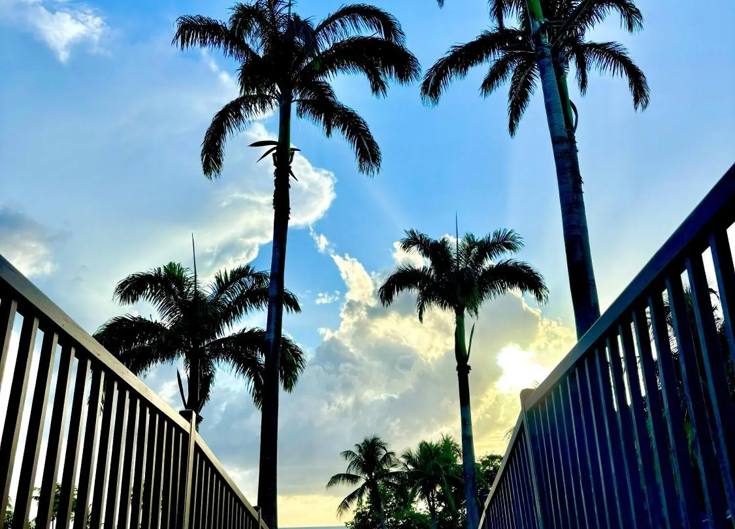 Apartment Studio Hippocampe P&V Sainte-Luce Martinique